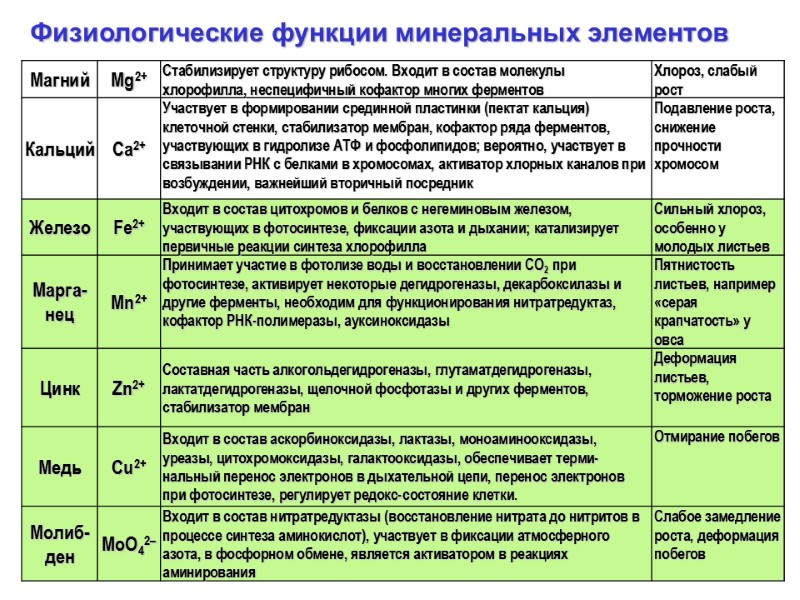 Физиологические функции минеральных элементов
